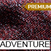 adventure premium